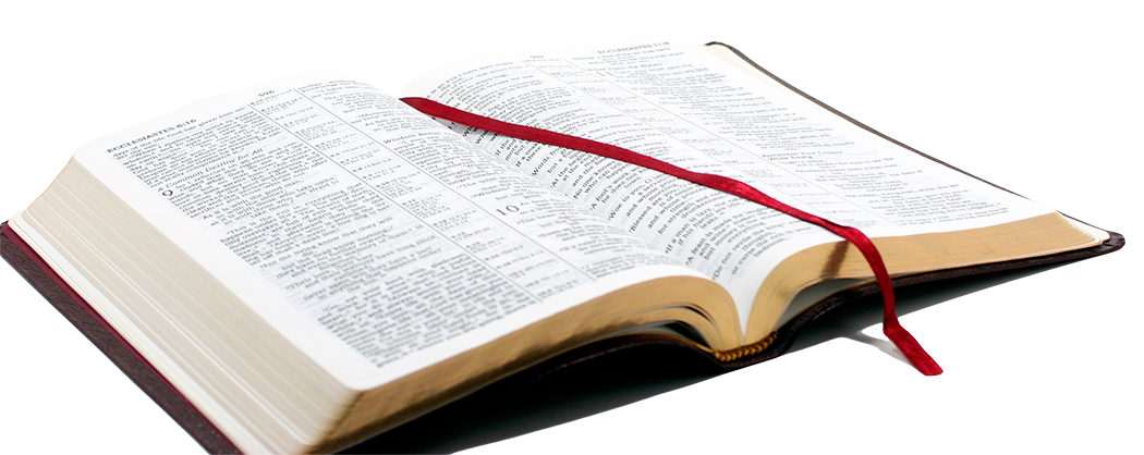 pngimg.com - bible_PNG8 pngimg.com - bible_PNG8